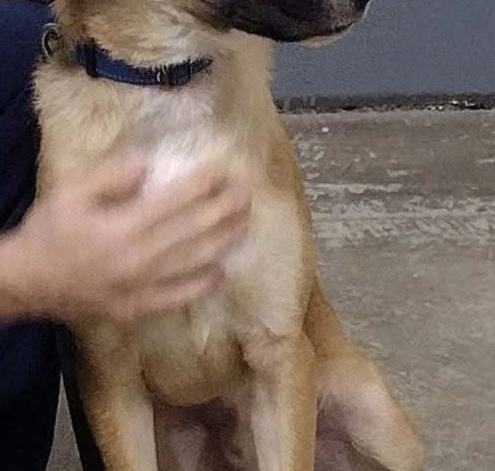 Photo of Lenny