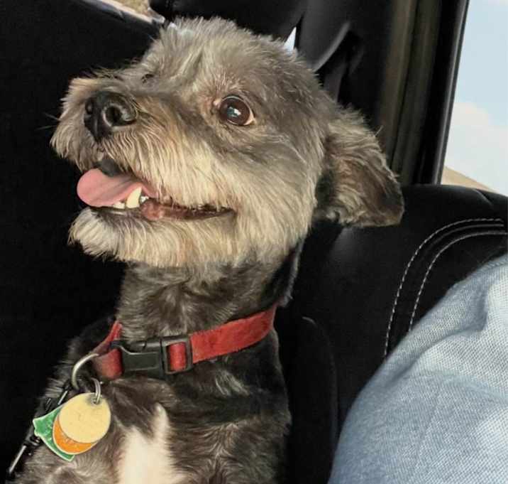 Photo of Bently