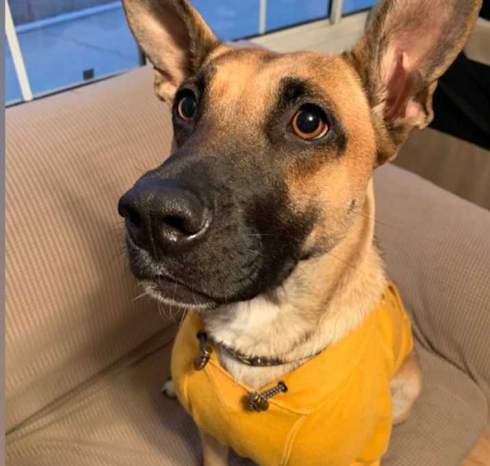 Photo of Maze