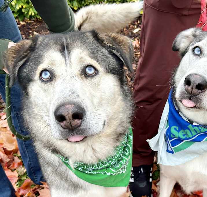 Photo of Autumn and Sable