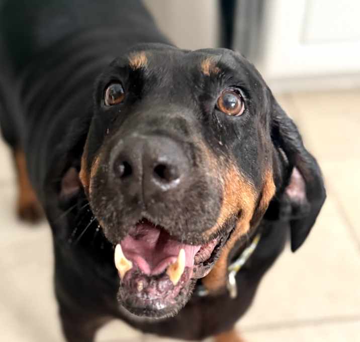 Photo of Big Momma Margot
