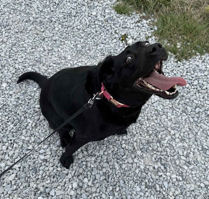 Photo of Athena