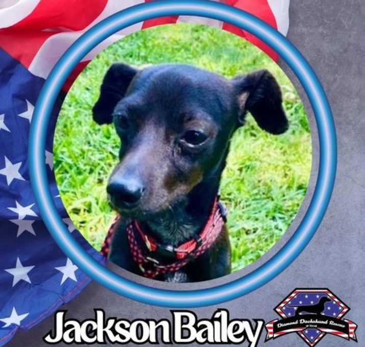 Photo of Jackson Bailey