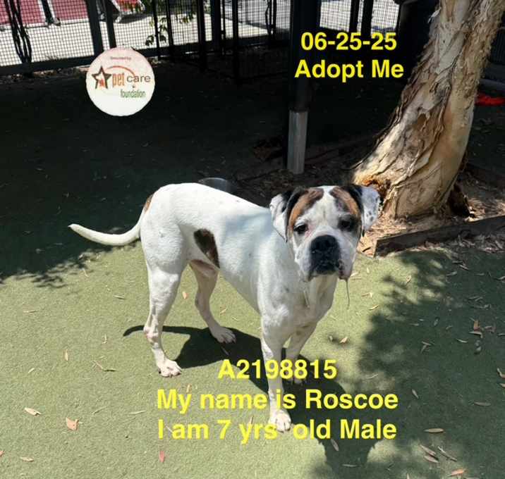 Photo of ROSCO