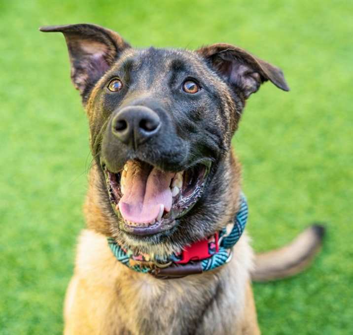 Photo of COOPER
