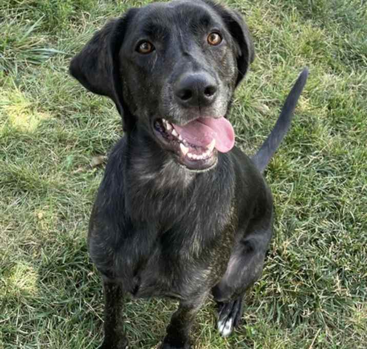 Photo of TRIXIE