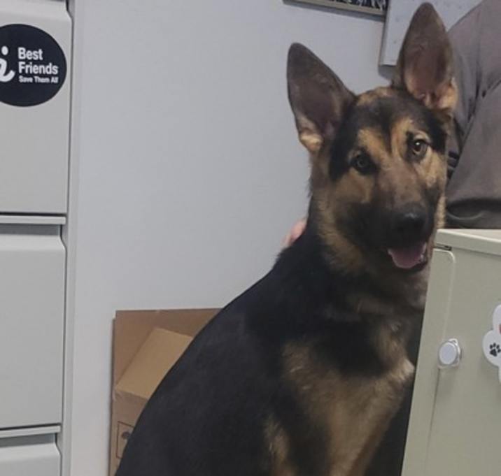 Photo of Cisco
