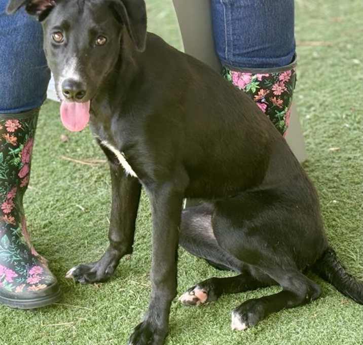 Photo of SUGAR