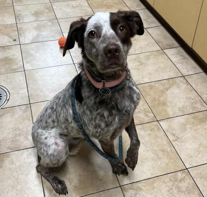 Photo of Luna