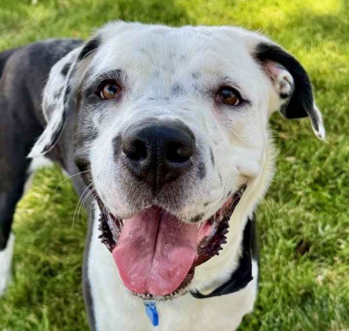 Photo of Bertha