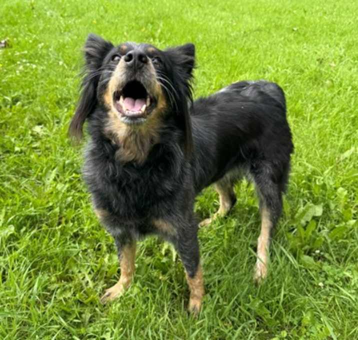 Photo of Roxy
