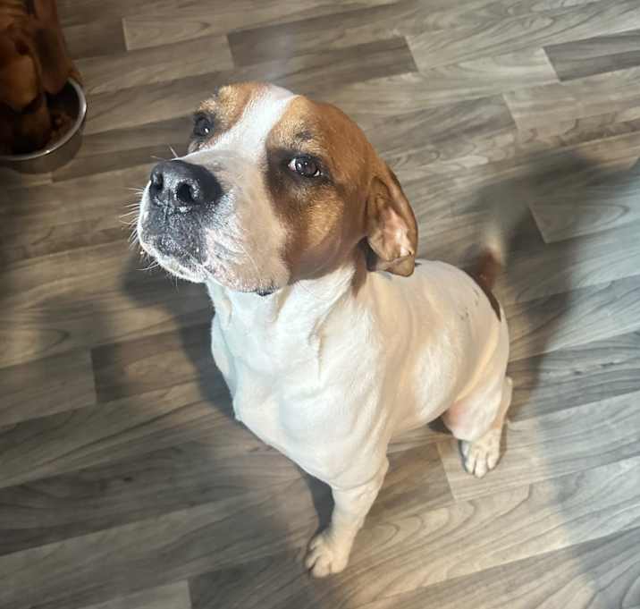 Photo of Thor