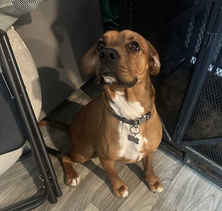 Photo of Boba