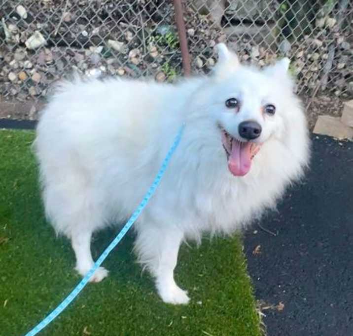 Photo of Cloud Nine