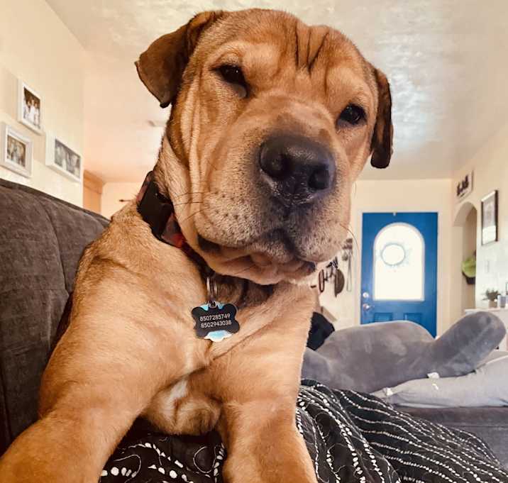 Photo of Georgie