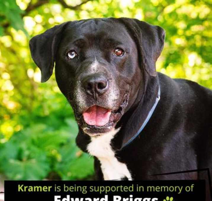 Photo of Kramer