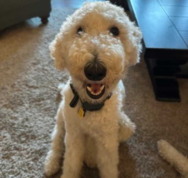 Photo of Doug