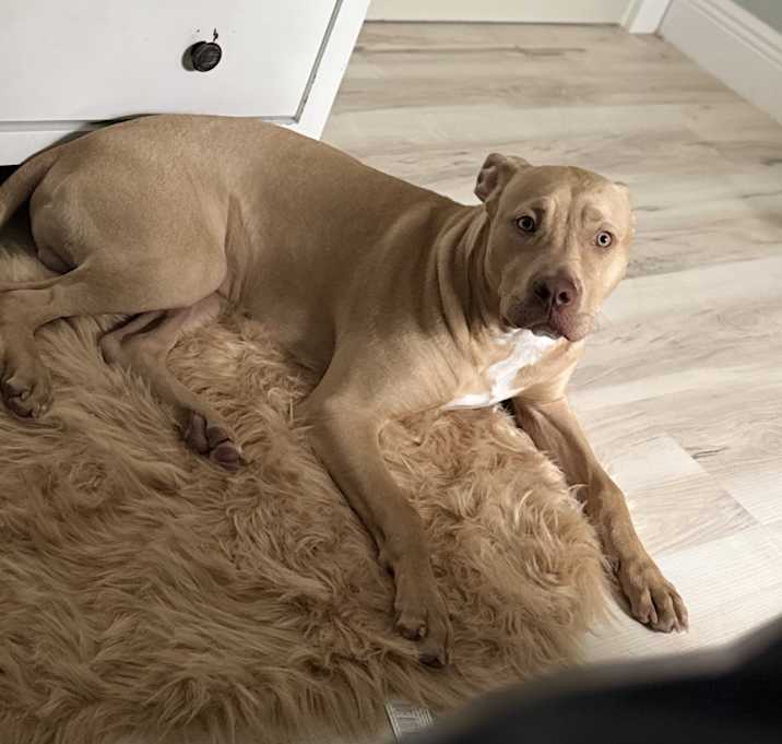 Photo of Leo