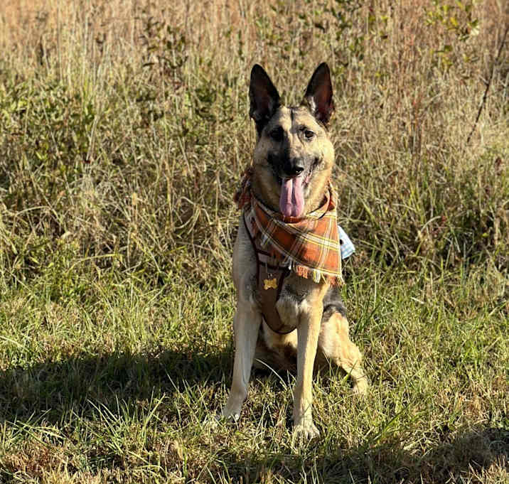 Photo of Molly