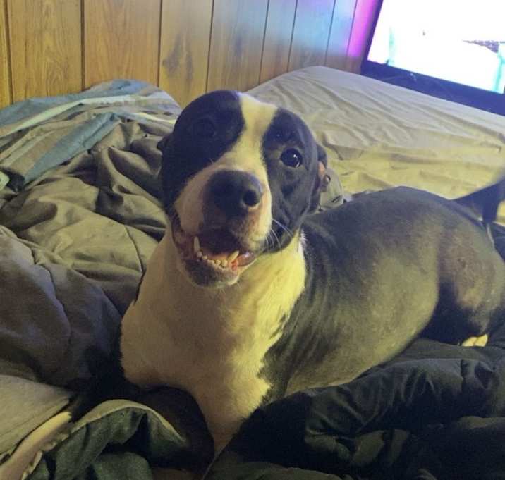 Photo of Nova