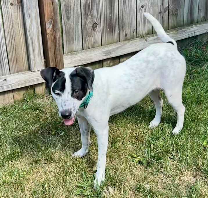 Photo of Dottie