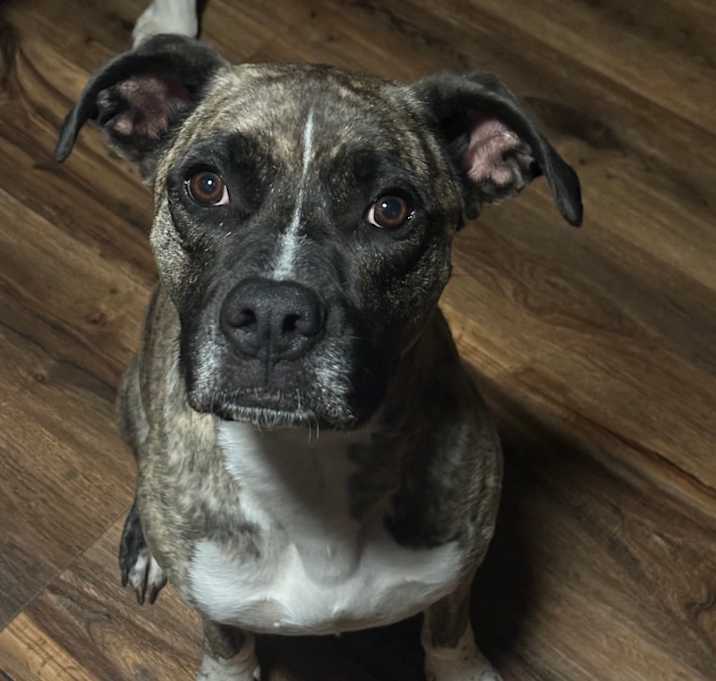 Photo of Freya
