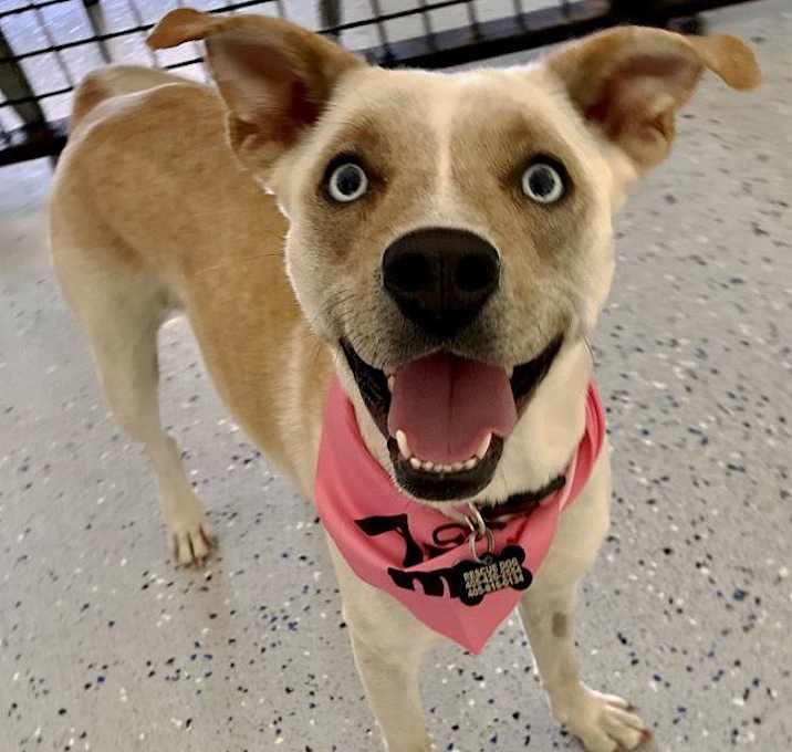 Photo of Heidi