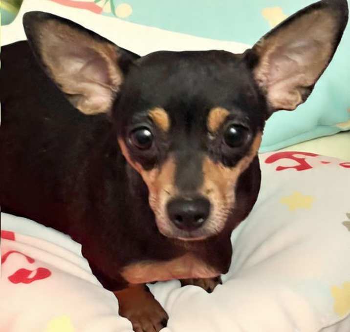 Photo of Molly