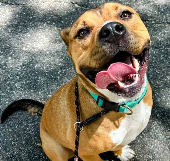 Photo of Tucker