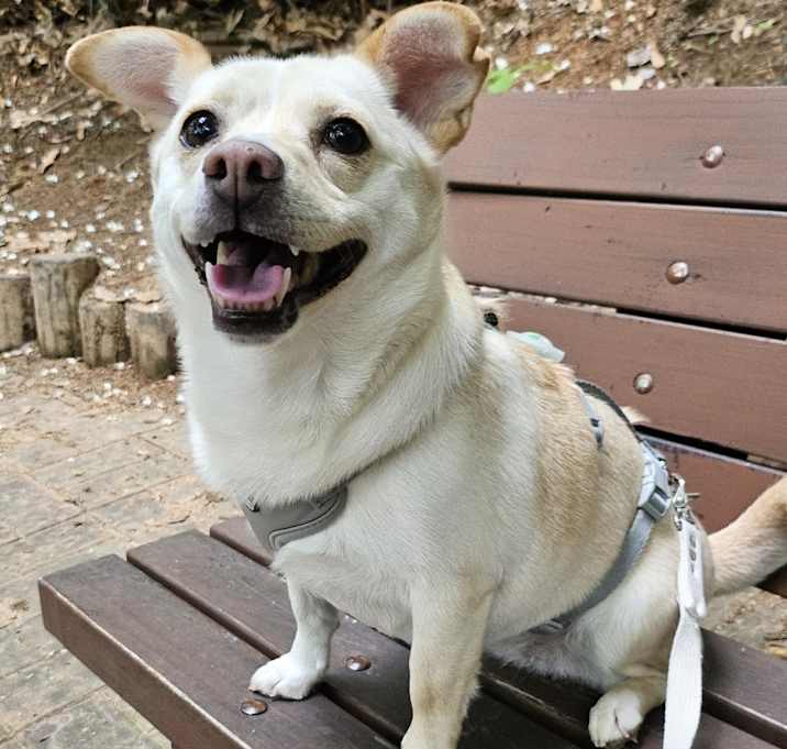 Photo of Victor