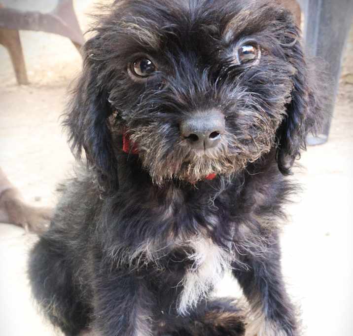 Photo of Louie VV