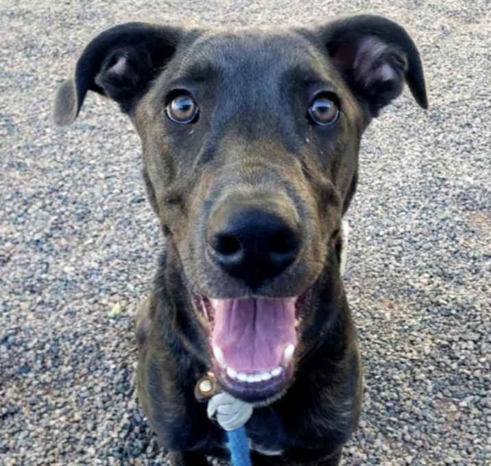 Photo of RUGER