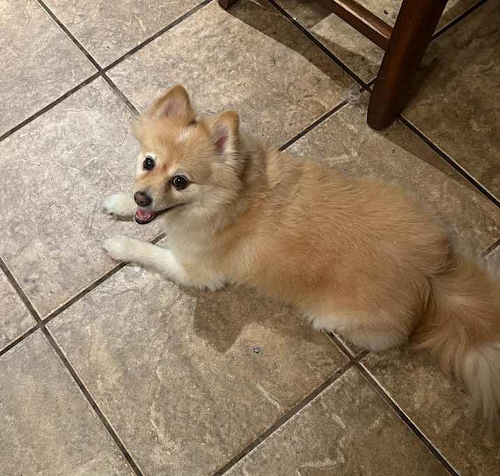 Photo of Truffles