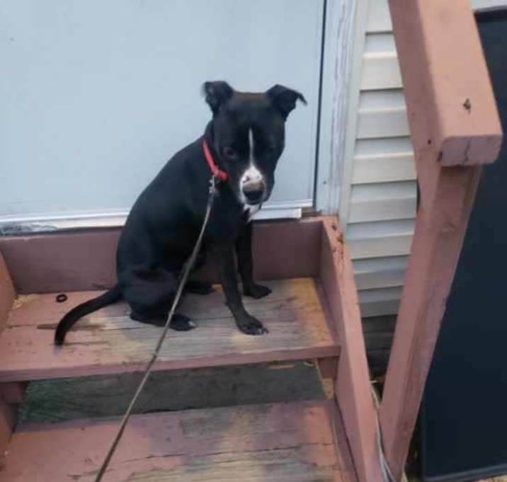 Photo of Onyx