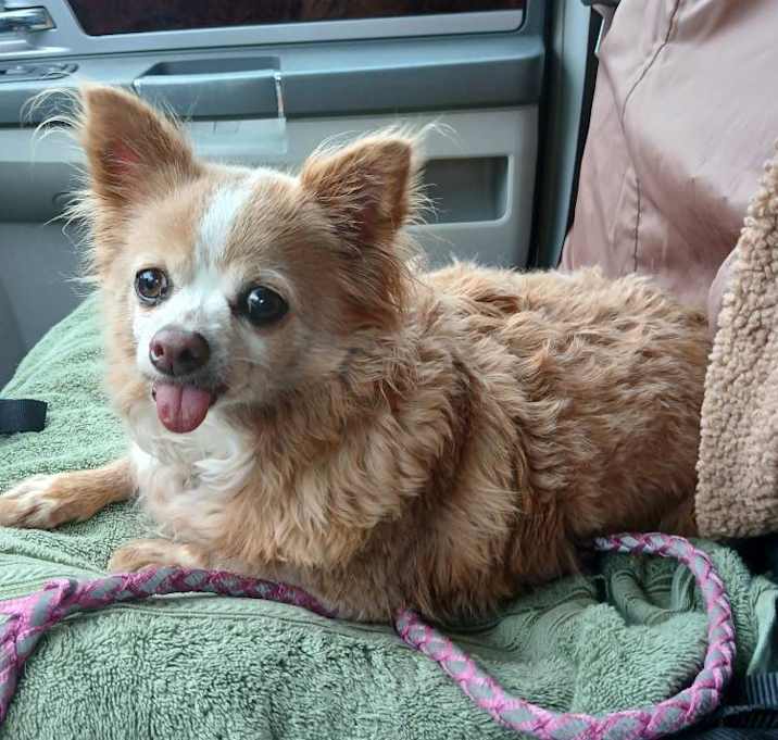 Photo of Betty