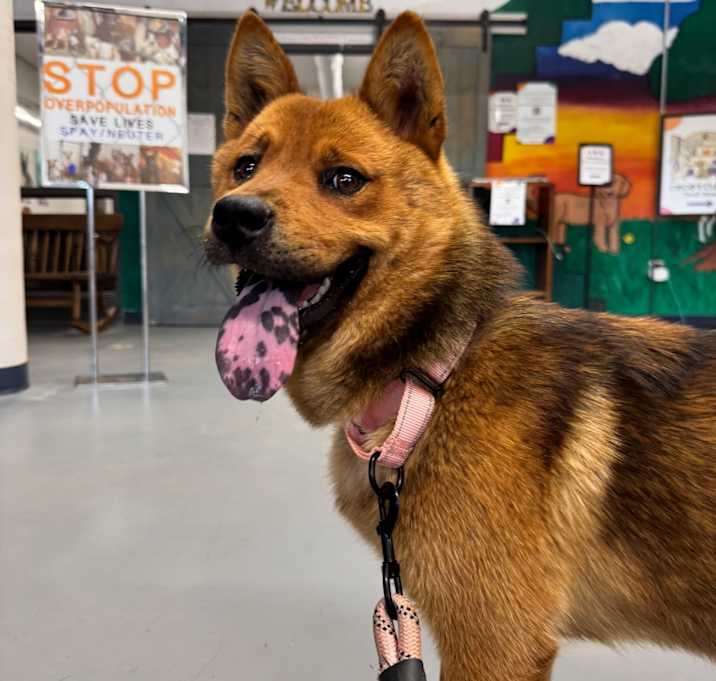 Photo of Aurora “Rory”
