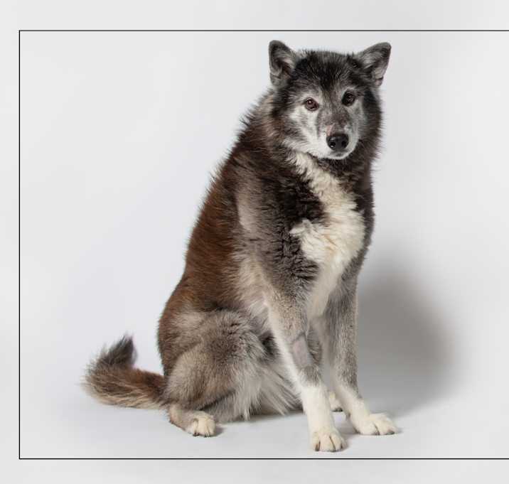 Photo of Luna