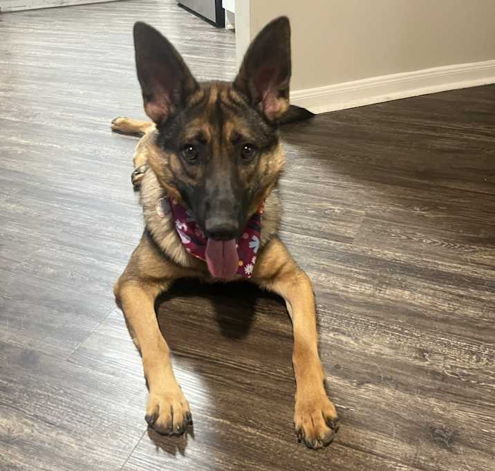 Photo of Rockey