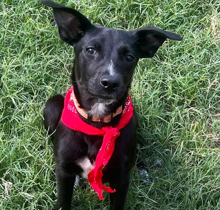 Photo of Arly (Arlington) JuM