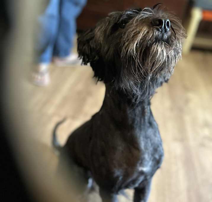 Photo of Willbur