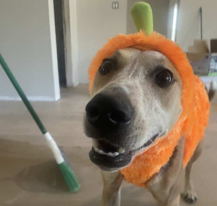 Photo of Winnie