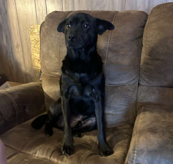 Photo of Curby