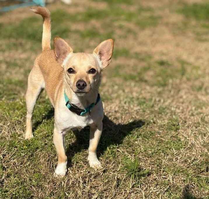 Photo of Manny