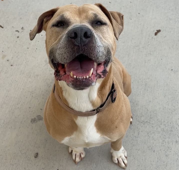 Photo of Nellie