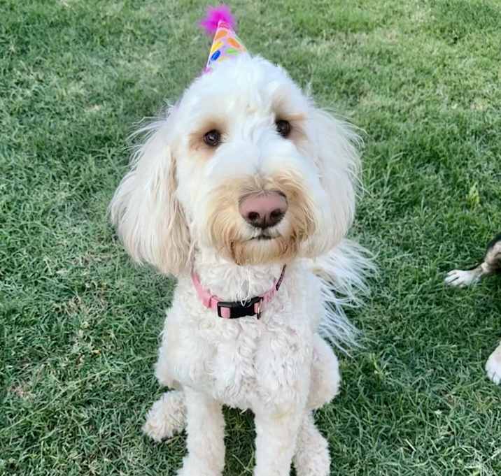 Photo of Luna