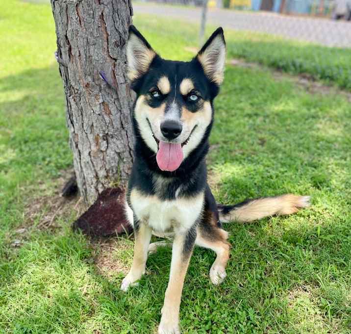 Photo of Chica 25-05-157