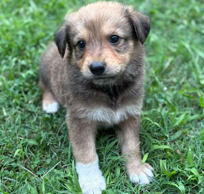 Photo of Murphy