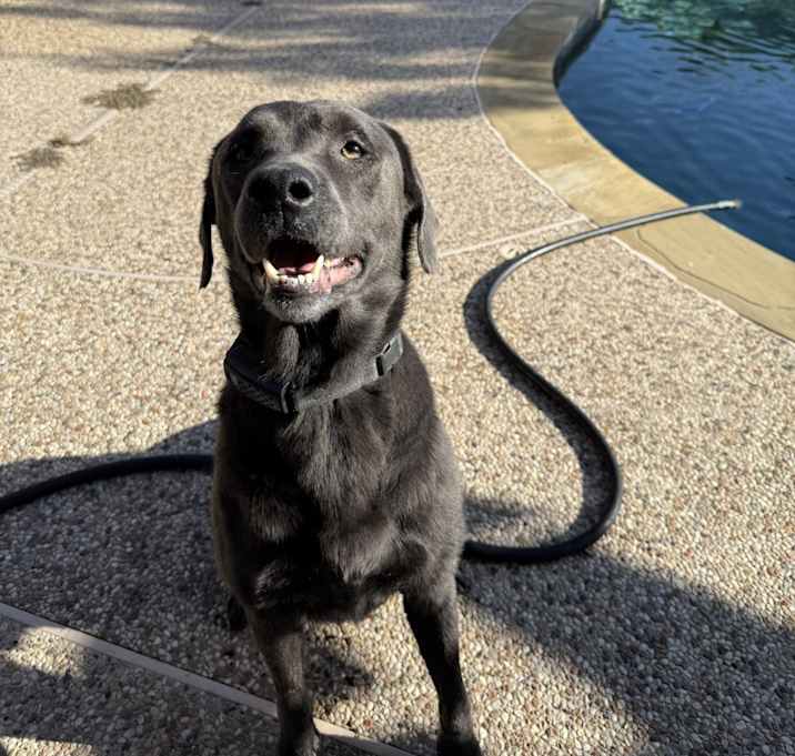Photo of Clyde