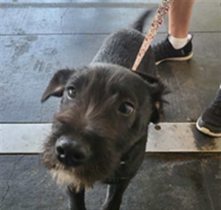 Photo of A2205112
