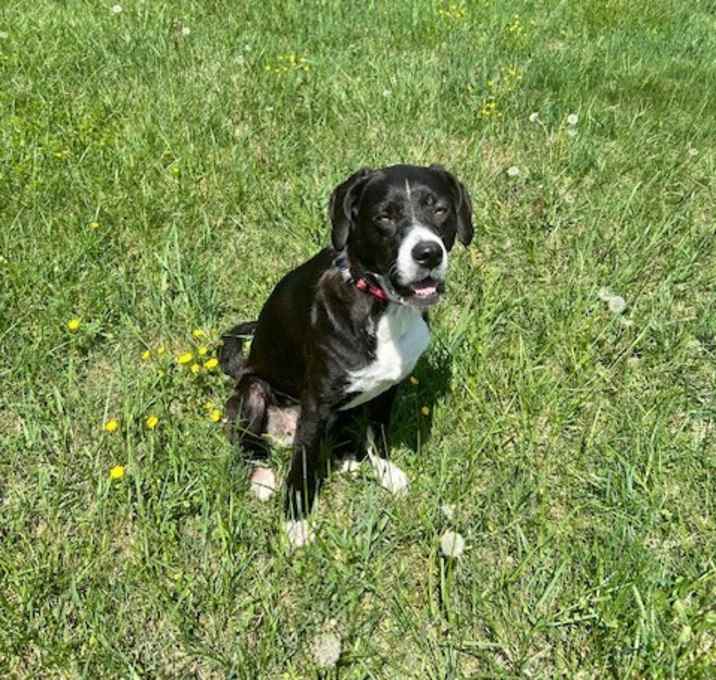 Photo of Lucy